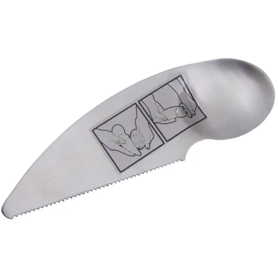 Kiwi Fruit Knife & Spoon - Stainless Steel – WorthyDeal Ltd